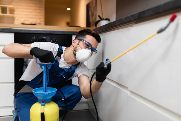 Best Local Pest Control Services  in Bean Station, TN