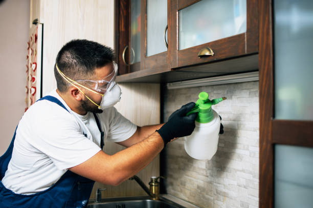 Best Mosquito Control Services  in Bean Station, TN